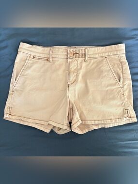 Anthropologie Chino Shorts Sz 29